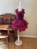 Clara Ballerina Dress. Cherry Red