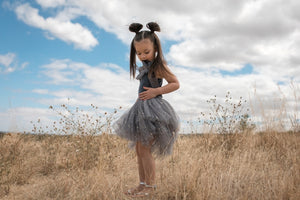 Clara Ballerina Dress, Dusty Pink